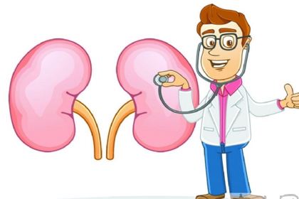 你的腎臟健康嗎？研究表明補(bǔ)硒對腎臟有保護(hù)作用
