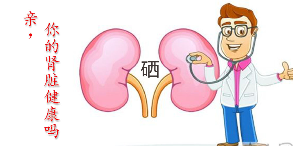 世界腎臟日|關(guān)愛腎臟健康，從補硒開始