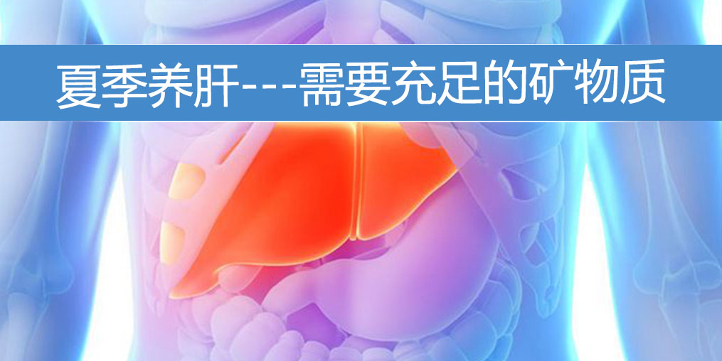 夏季養(yǎng)肝需要充足的礦物質(zhì)，保護(hù)肝功能