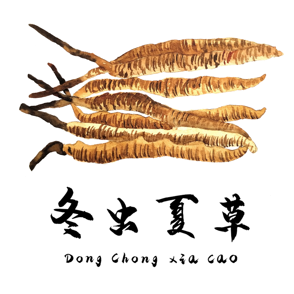 對(duì)于食道癌，冬蟲(chóng)夏草有一定的改善作用