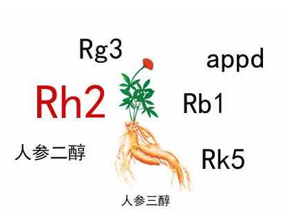 中藥人參皂苷的輔助作用，Rh2和Rg3都不錯
