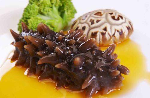 關(guān)于海參的冷知識，您知道嗎？
